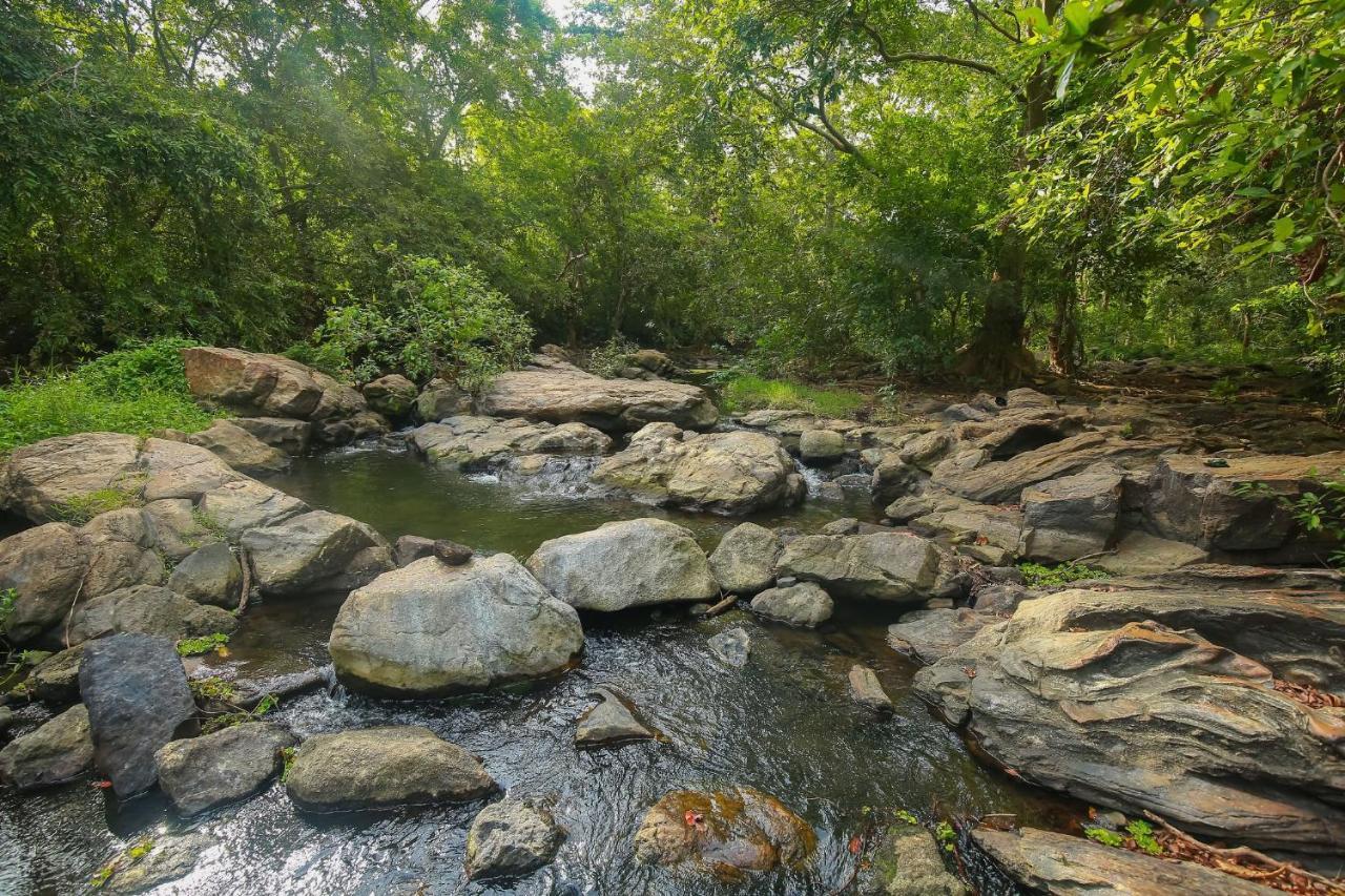 Yala Safari River View Hotel Тиссамахарама Экстерьер фото