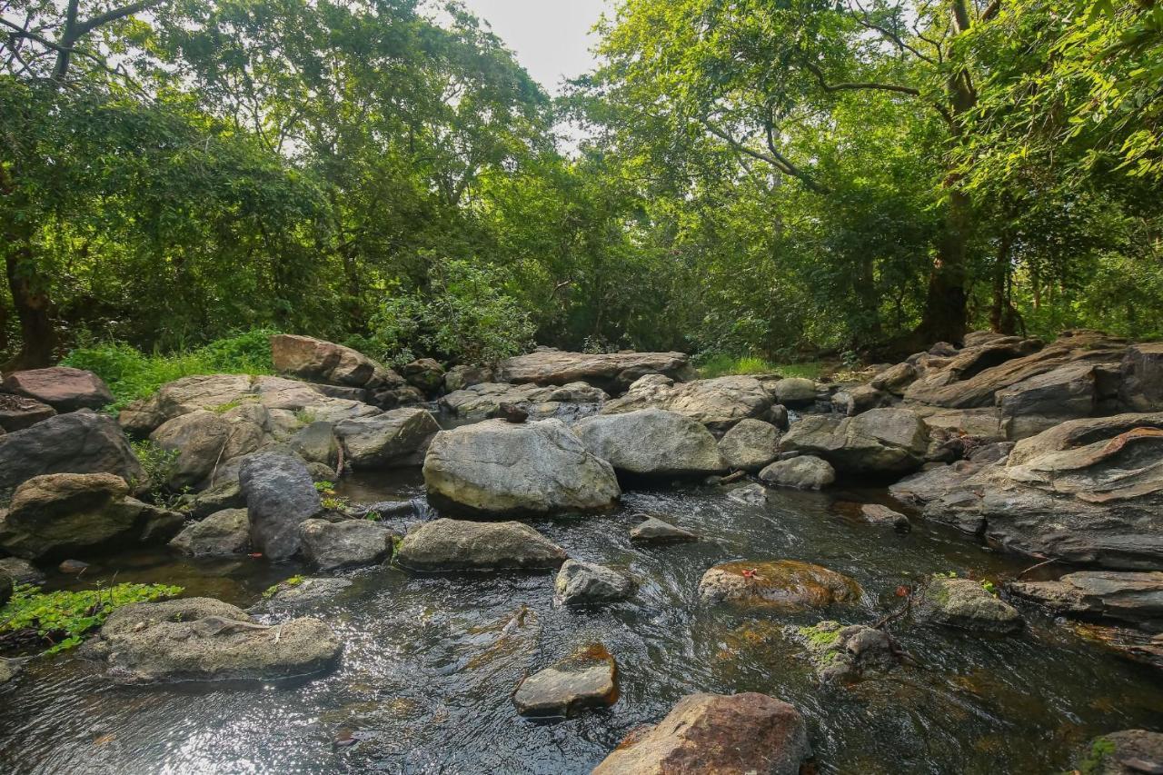 Yala Safari River View Hotel Тиссамахарама Экстерьер фото