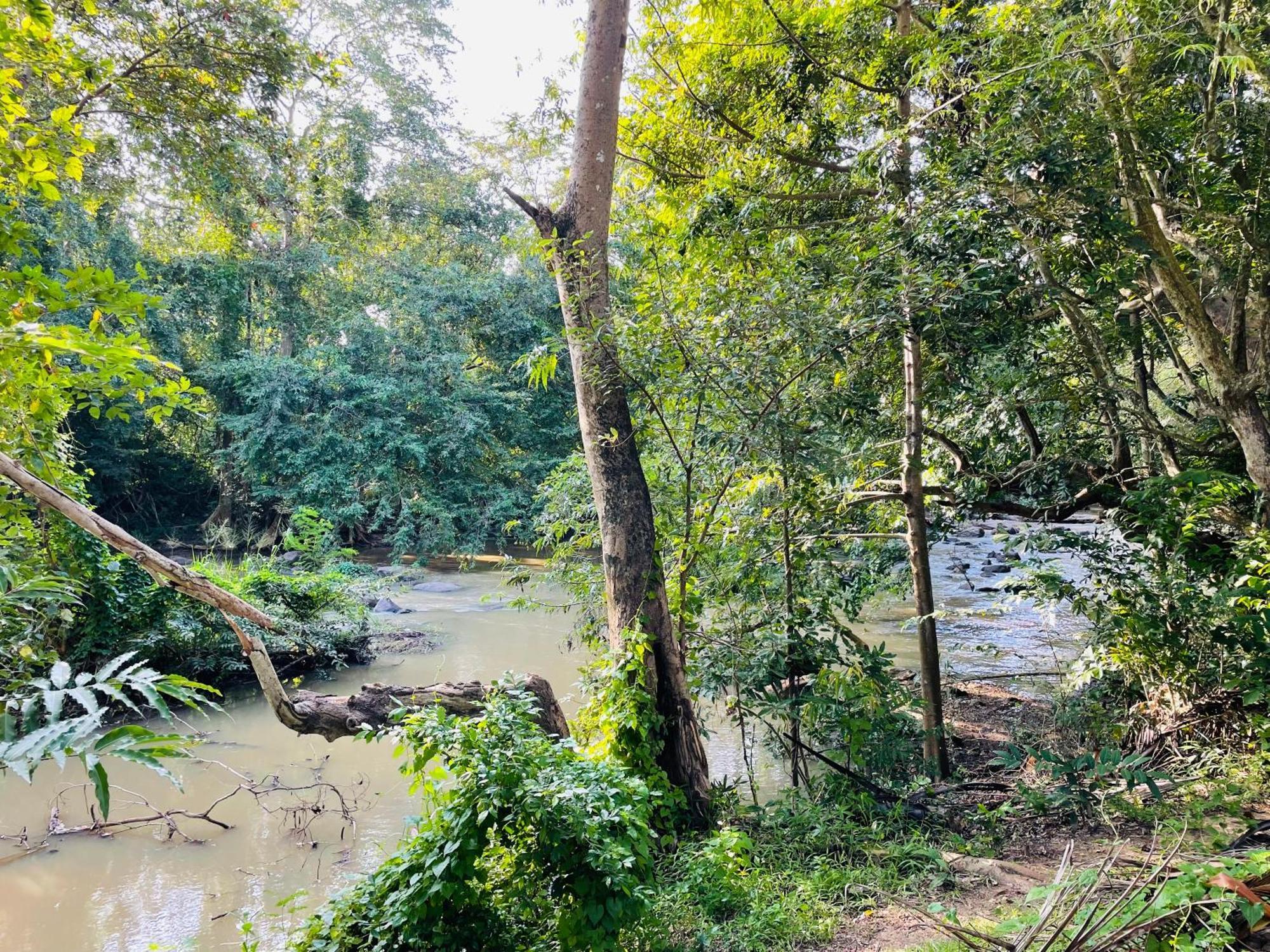 Yala Safari River View Hotel Тиссамахарама Экстерьер фото